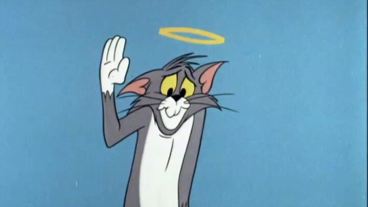 [Tấn công Tom mùa cuối cùng phần 2] The Rumbled & Tom và Jerry