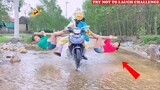 Best Funny Videos 2021 🤣 😂 Try Not To Laugh Challenge - Cười Vỡ Bụng | Episode 172