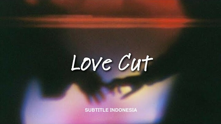 CNBLUE (씨엔블루) - 'LOVE CUT' [Indo Sub]