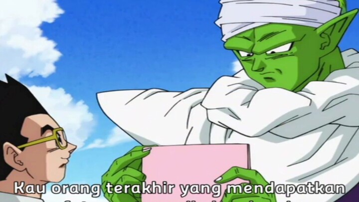 begini jadi nya jika picollo sudah jinak🤗🤗🤗🤗