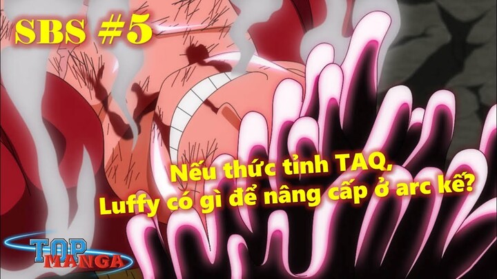 [SBS#5]. Shanks đã nói gì với Ngũ Lão Tinh? Nếu thức tỉnh, Luffy có gì để nâng cấp ở arc kế?
