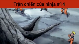 Trận chiến của ninja p14