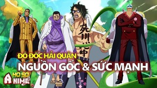 Nguồn gốc và sức mạnh của các đô đốc Hải Quân