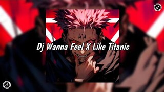 DJ WANNA FEEL X LIKE TITANIC BY DJ SOPAN YETE VIRAL TIKTOK 2024🎧