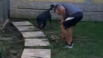 dog play