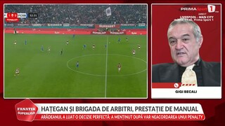 EXCLUSIV. Gigi Becali şi motivul umilinţei_ „A fost ambiţia mea prostească”