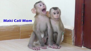 Pathetic!! Both Two Monkey Very Hungry Cry loudly try Calling Mom Give Milk For Him