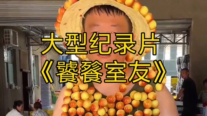 大型纪录片《饕餮室友》持续为您播出！