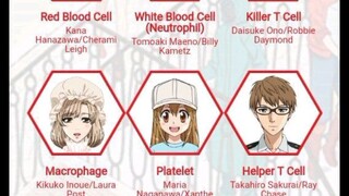 Anime buat belajar biologi : harataku saibou/cells at work