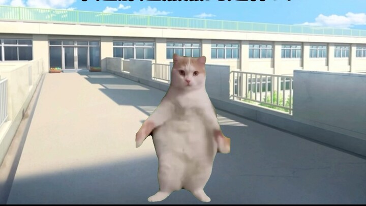 [Meme Kucing] Saya hendak melompat dari gedung dan tanpa sengaja menjadi sasaran pujian dari guru sa