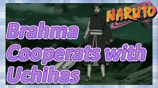 Brahma Cooperats with Uchihas