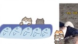 [True Meow] แมว : บอส อยากได้ปลา บอส : โอเค รอพี่เอาตัวใหญ่ๆ