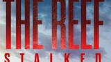 THE REEF STALKER 2 2022 HD