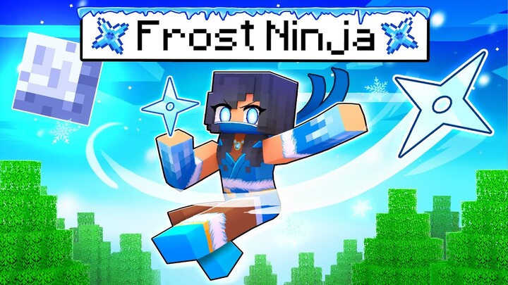 Aphmau is the FROST NINJA In Minecraft!