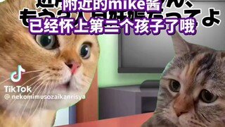 【熟肉】相亲的日常 | 猫meme