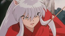 INUYASHA THUYẾT MINH TẬP 61INUYASHA VÀ KAGOME PHÁ VỞ LỀ HUYỀN