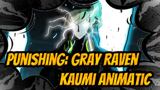 Punishing: Gray Raven
Kaumi Animatic