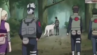 Naruto: Con sên trên tay Sakura là linh thú của Tsunade, nhưng con sên này buồn cười quá