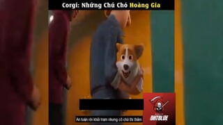 Tóm tắt phim: Corgi - Những chú chó hoàng gia p4 #reviewphimhay