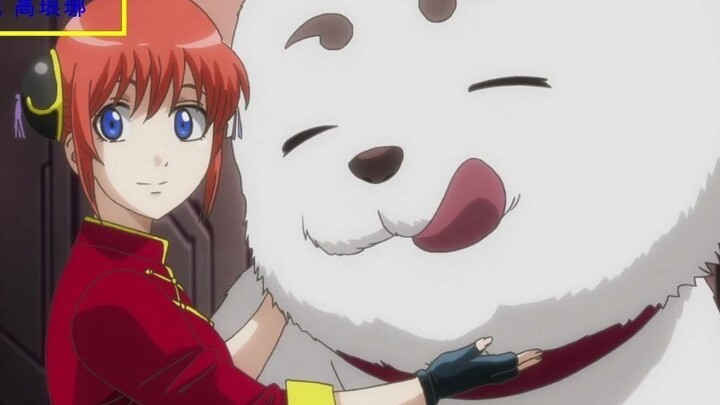 Gintama the Movie: What you thought Sadaharu saved people and what he actually did