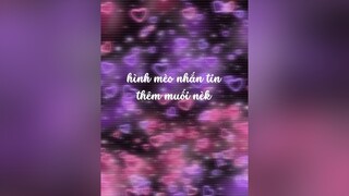hình mèo nhắn tin cho thêm chút muối nèk hinh meocute nhantin thêmchútmuối