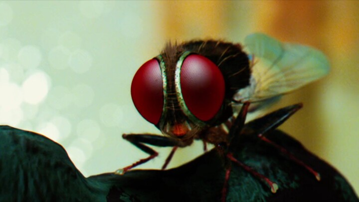 nani (Eega) tamil dubbed full movie tamil full movie
