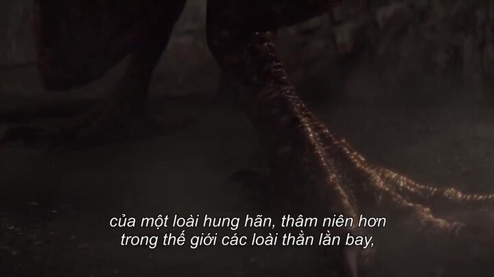 Thợ săn quái vật: Bách khoa quái thú (Phần 2) Full Movie [Sub Việt]