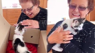 These Families Getting Surprised With Adorable PETS Will Make You Happy!