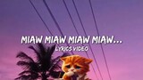Miaw miaw miaw miaw sound sad cat..(Lyrics(