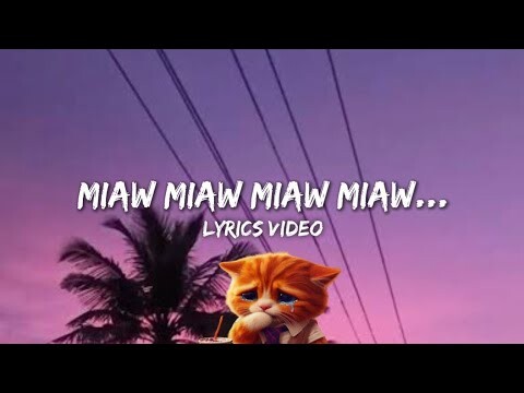 Miaw miaw miaw miaw sound sad cat..(Lyrics(
