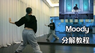 【AA】分解教程|Moody 慢速跟动作+0.8倍跟动作+镜面原速