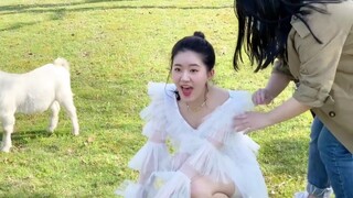 [Zhao Lusi] Who is the most adorable little girl? Did Lusi vomit again? She has a lot of little expr