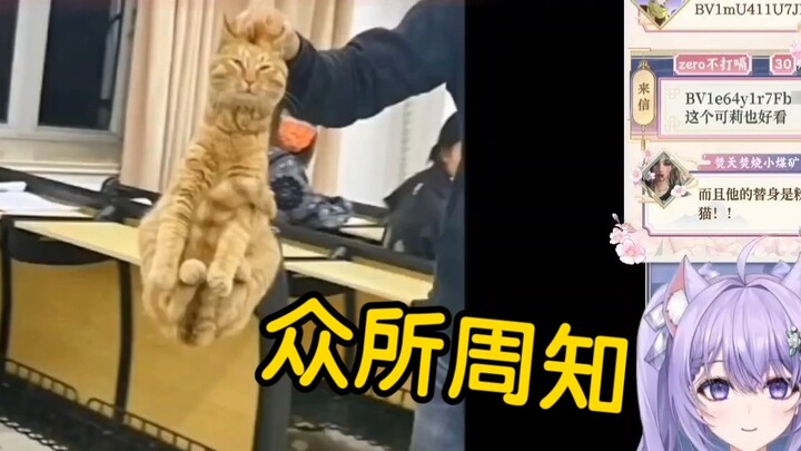 [Liang Sheng does not hiccup] The purple cat watched "Tom and Jerry Never Deceive Me!" and was touch