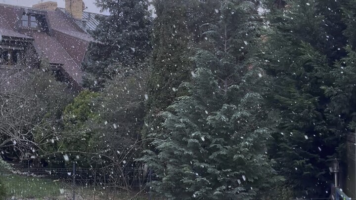 Snow