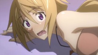 Infinite Stratos_Vol.4