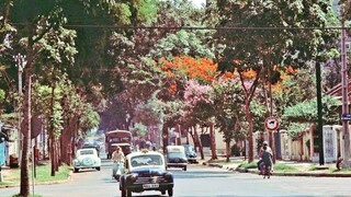 Màu Hồng Chủ Nhật - Connie Kim (Saigon Pre - 1975)