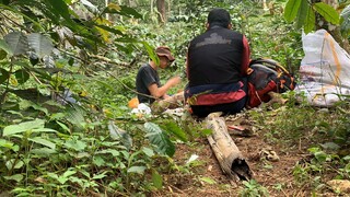 Jurnal Perjalanan Eksplorasi Angrek di habitatnya