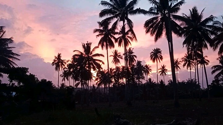 Sunshine sunset.
