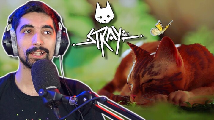 "Eιδικός" στις γάτες παίζει Stray - LegitGamingGR