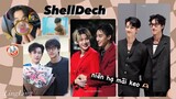 【SHELLDECH】Tổng hợp Tiktok couple ShellDech | Couple Playboyy the series | Couple niên hạ
