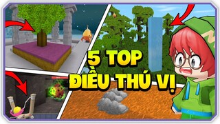 Mini World: Top 5 điều thú vị có thể bạn chưa biết trong mini world