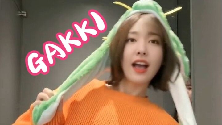 Một gakki sôi động~