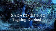 SADAKO 3D 2012 (Tagalog Dubbed)