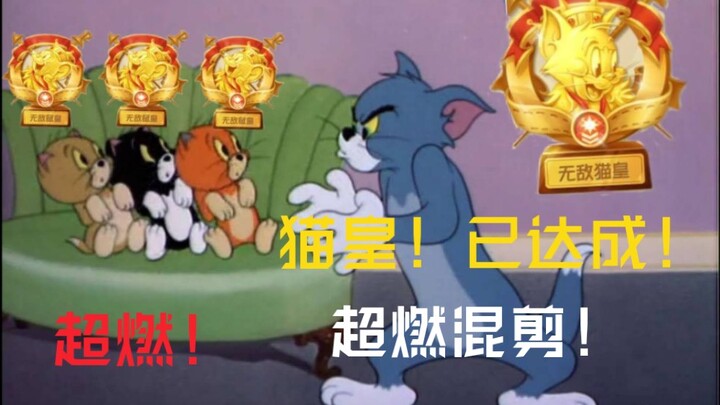 全程超燃 准备好迎接盛宴吧！猫皇！已达成！