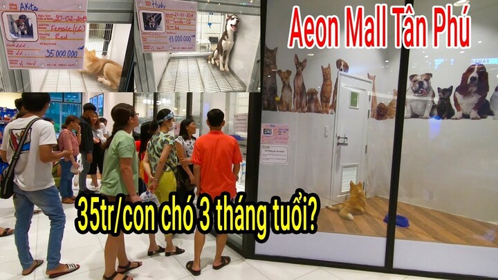 Chuyện lạ: Siêu thị đầu tiên tại Việt Nam Bán Chó cưng giá 35 triệu/con ở AEON Mall Tân Phú