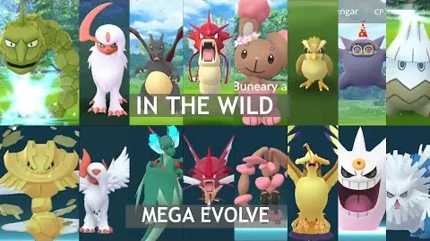 Catching shiny in the wild and mega evolved them feat. Mega Steelix, Absol and more - Bilibili Catching shiny in the wild and mega evolved them feat. Mega Steelix, Absol and more - Bilibili
