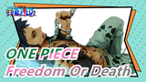 [ONE PIECE/Epic] The Freedom Or The Death