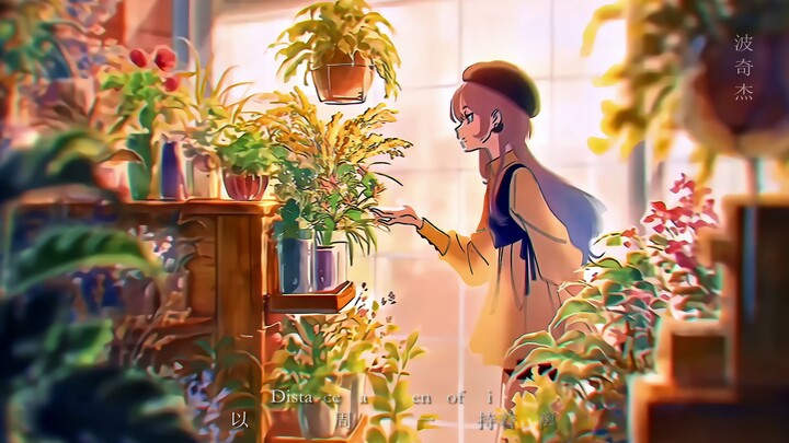 我的动漫合集