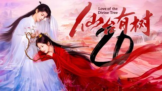 EP20 LOTDT: Sendai Tree (2025)