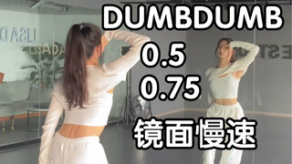 【秋雨】应该是动作最符合原版的慢速教学 DUMB DUMB-SOMI 镜面慢速动作教学